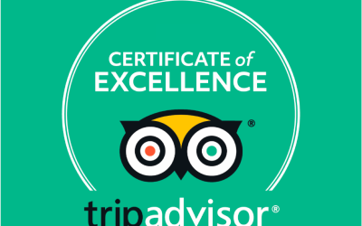 Trip Advisor2